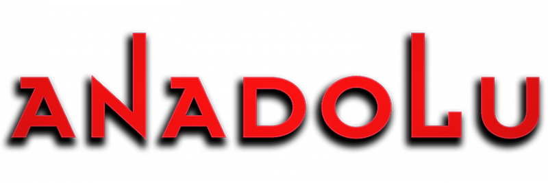 Anadolu Pembe Logo Konyada