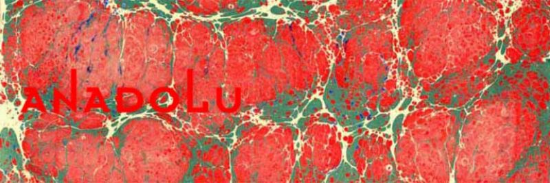 Ebru Kursları Konyada